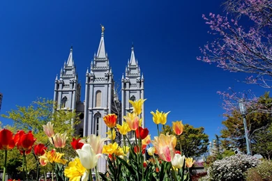 LDS Temple, Book Of Mormon, Other Lds Stuff Favourites By ...