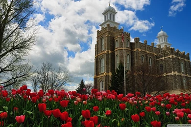 LDS Temple Wallpapers