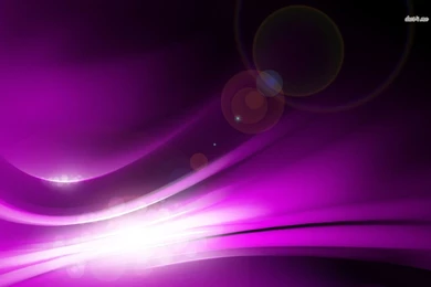 Magenta Lines And Circles Wallpapers   Abstract Wallpapers