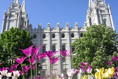 Salt Lake LDS (Mormon) Temple Photograph Download