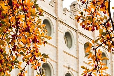 Salt Lake Temple In The Fall