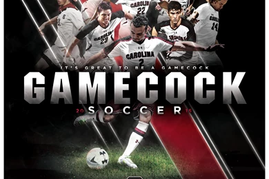 University Of South Carolina Official Athletic Site