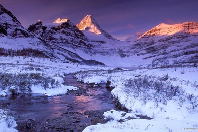 Winter Wonderland HD Wallpapers And Pictures, New Wallpapers