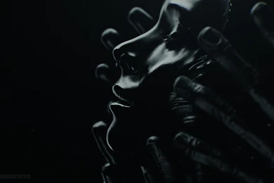 51 The Girl With The Dragon Tattoo HD Wallpapers