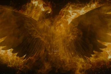 GIRL WITH THE DRAGON TATTOO Dark G Wallpapers