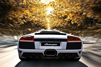 Lamborghini Murcielago In Autumn / Gran Turismo 5 Wallpapers