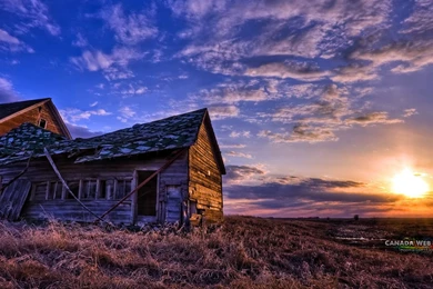 Hd wallpapers for windows 8.1 10   Best For Desktop HD Wallpapers