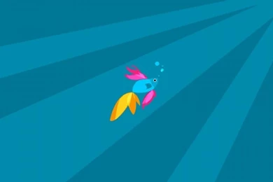 Windows 8.1 Beta Fish Wallpaper,tech HD Wallpaper,hi Tech HD ...