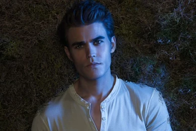 Stefan Wallpapers ✯   Stefan Salvatore Wallpapers (24854022)   Fanpop