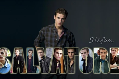 Stefan Salvatore   Stefan Salvatore Wallpapers (15836992)   Fanpop