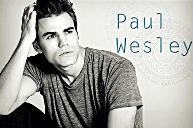 Paul Wesley   Stefan Salvatore Wallpapers (10217898)   Fanpop