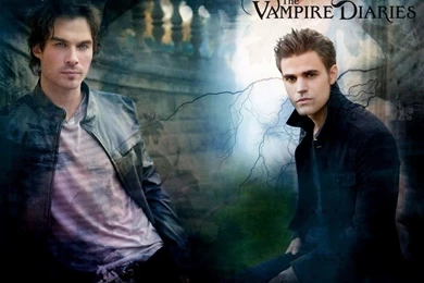 Damon & Stefan   Damon And Stefan Salvatore Wallpapers (8415188 ...