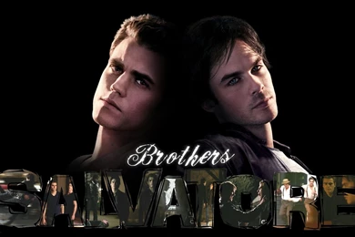 Stefan & Damon   Damon And Stefan Salvatore Wallpapers (17122408 ...