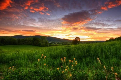 Beauty Italy – BUZZERG