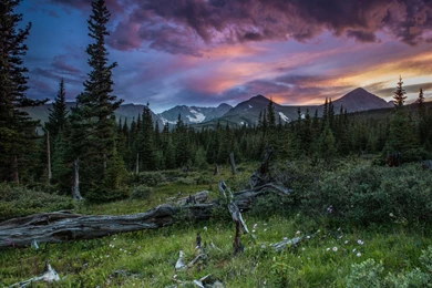 Mountains Summer Forest Sunset Wallpapers