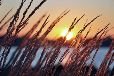 2560x1600 Summer Sunset By The Lake Desktop PC And Mac Wallpapers