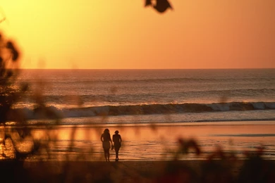 Summer, Sunset, Wallpapers, Holiday, Nature, Related (