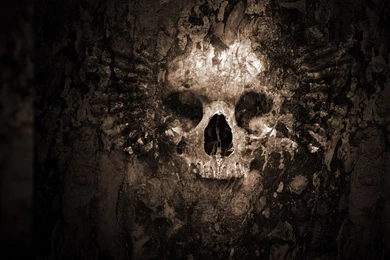 Scary Halloween Skeletion Desktop Wallpapers.jpg