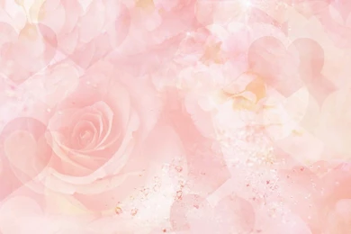 Beautiful Flowers Backgrounds Wallpapers,Backgrounds Wallpapers ...