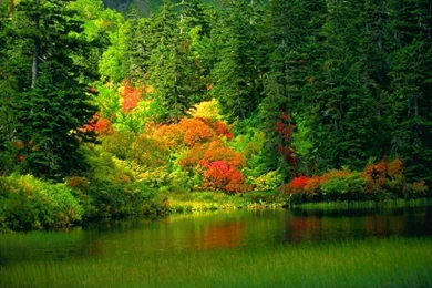 Beautiful Nature Wallpapers   25 Photos