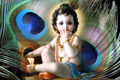 Krishna God On Morpankh Hd Wallpapers   Wallpaperss HD