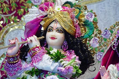 Radha Krishna Vrindavan HD Wallpapers Pictures