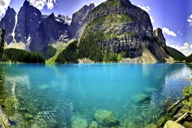 Pleasing And Beautiful Nature Wallpapers