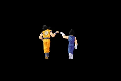 Goku And Bardock   Dragon Ball Z Wallpapers