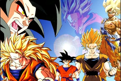 Dragon_ball_z_wallpaper_goku.jpg
