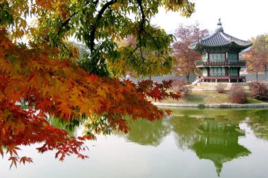 Download Korean Temple Wallpaper 3401 0x0.jpg