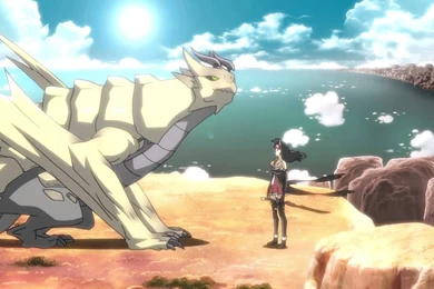 DUNGEON FIGHTER Online Rpg Mmo Action Fantasy Anime Fighting ...