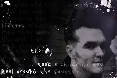 Morrissey Wallpapers [Archive]   Morrissey solo Forums