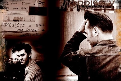 Wallpapers Music > Wallpapers Morrissey Morrissey By ...
