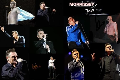 Morrissey Desktop Wallpapers   Page 2
