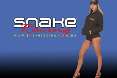 Wallpapers Downloads   Snake Racing