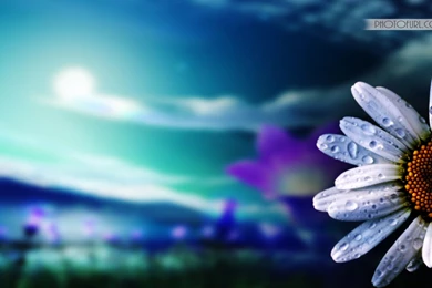 Latest Beautiful Wallpapers   All Wallpapers New