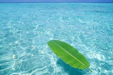 Crystal Clear Water Latest HD Wallpapers Free Download