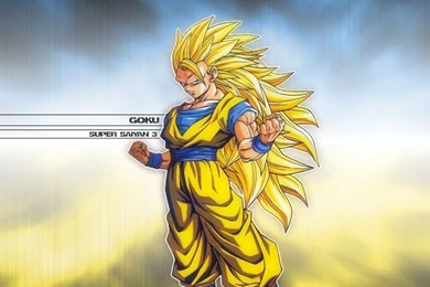 Dragon Ball Z Super Saiyan 3   Wallpaper.