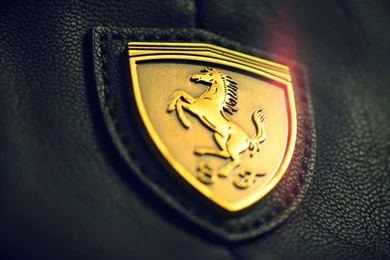 1600x1200 hd wallpapers download.jpg