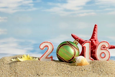 Happy New Year 2016 Hd Wallpapers 33