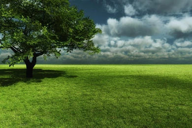 Green Plain « Free Wallpapers 1600x1200 Download Desktop Pictures HD