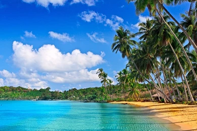 Download Tropical Beach HD 7791 1600x1200 Px High Resolution ...