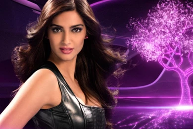 Sonam Kapoor Wallpapers   (1024x768) : Janubaba.com