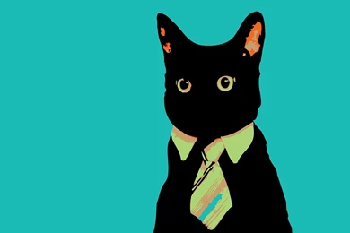 Business Cat Wallpapers