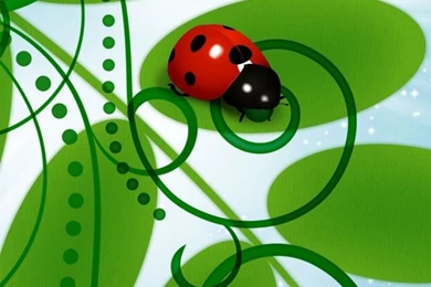 Lady Bird Iphone 4 Wallpapers 640x960 Hd Wallpapers For Mobile Phones