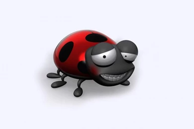 3d lady bird wallpapers