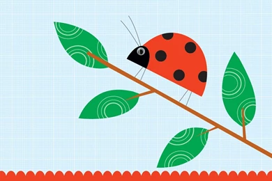 Ladybird Wallpapers Desktop Wallpapers   2465