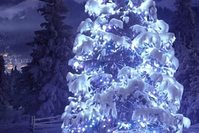 Galaxy S4 Wallpapers   Christmas Theme