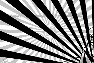 Volcom Black White Wallpapers   (