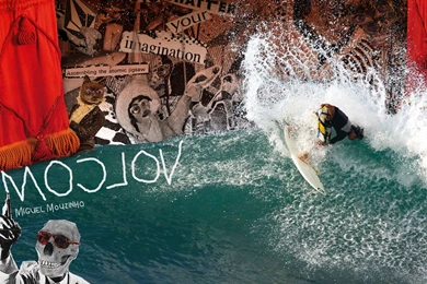 Bam Margera Element Wallpapers   657586